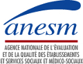 Anesm